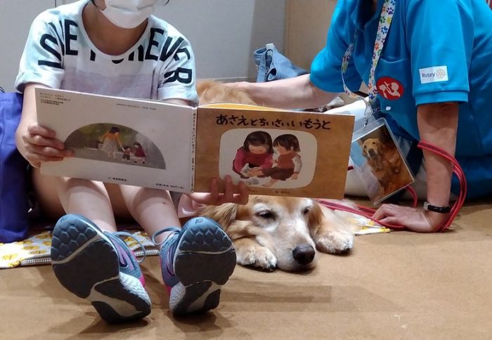 品川区初！「おはなし　きいてね」～犬とふれあう読書会～　無事終了