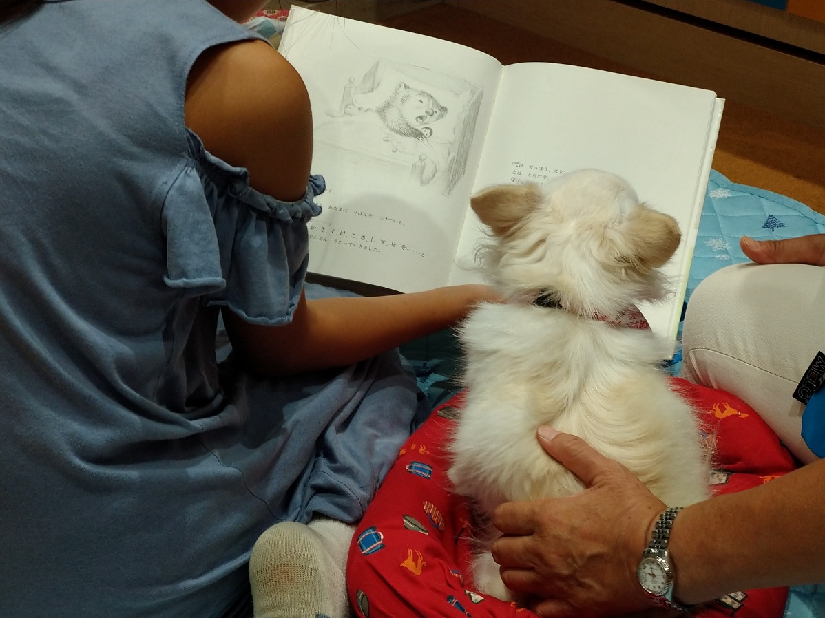 2023「おはなし きいてね」～犬とふれあう読書会～ | NPO法人リディア