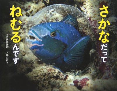 『さかなだって　ねむるんです』