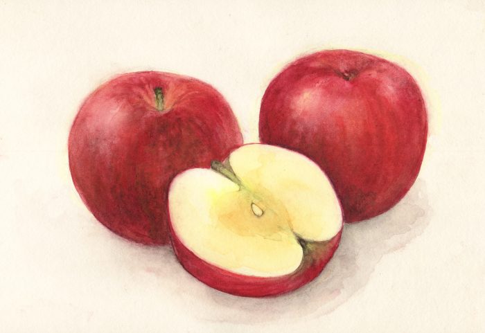 りんごの季節