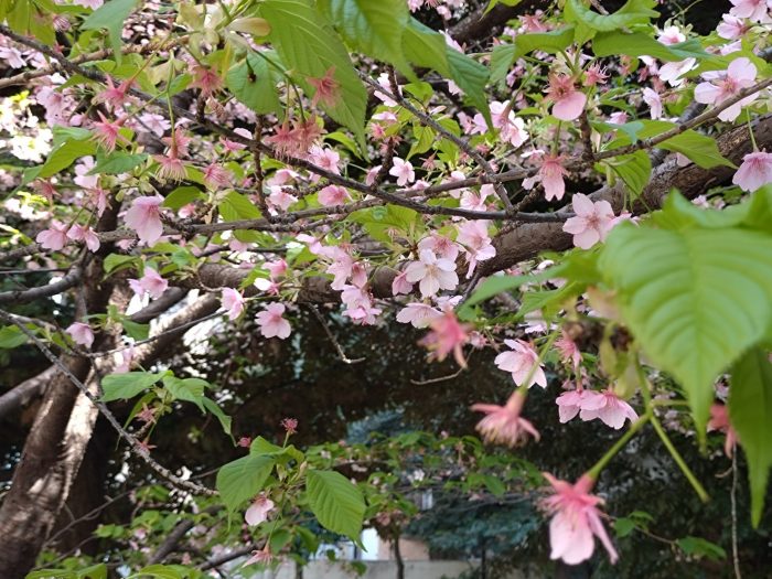 もうすぐ、春！