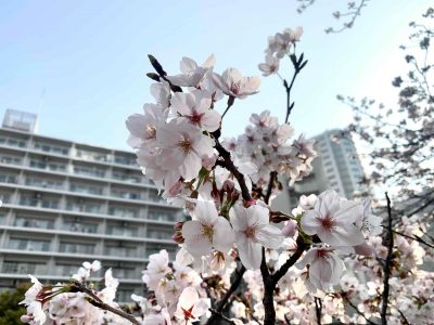 大崎駅からのハッピーロード♪