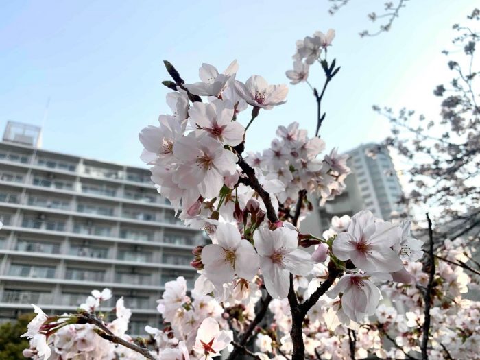 大崎駅からのハッピーロード♪